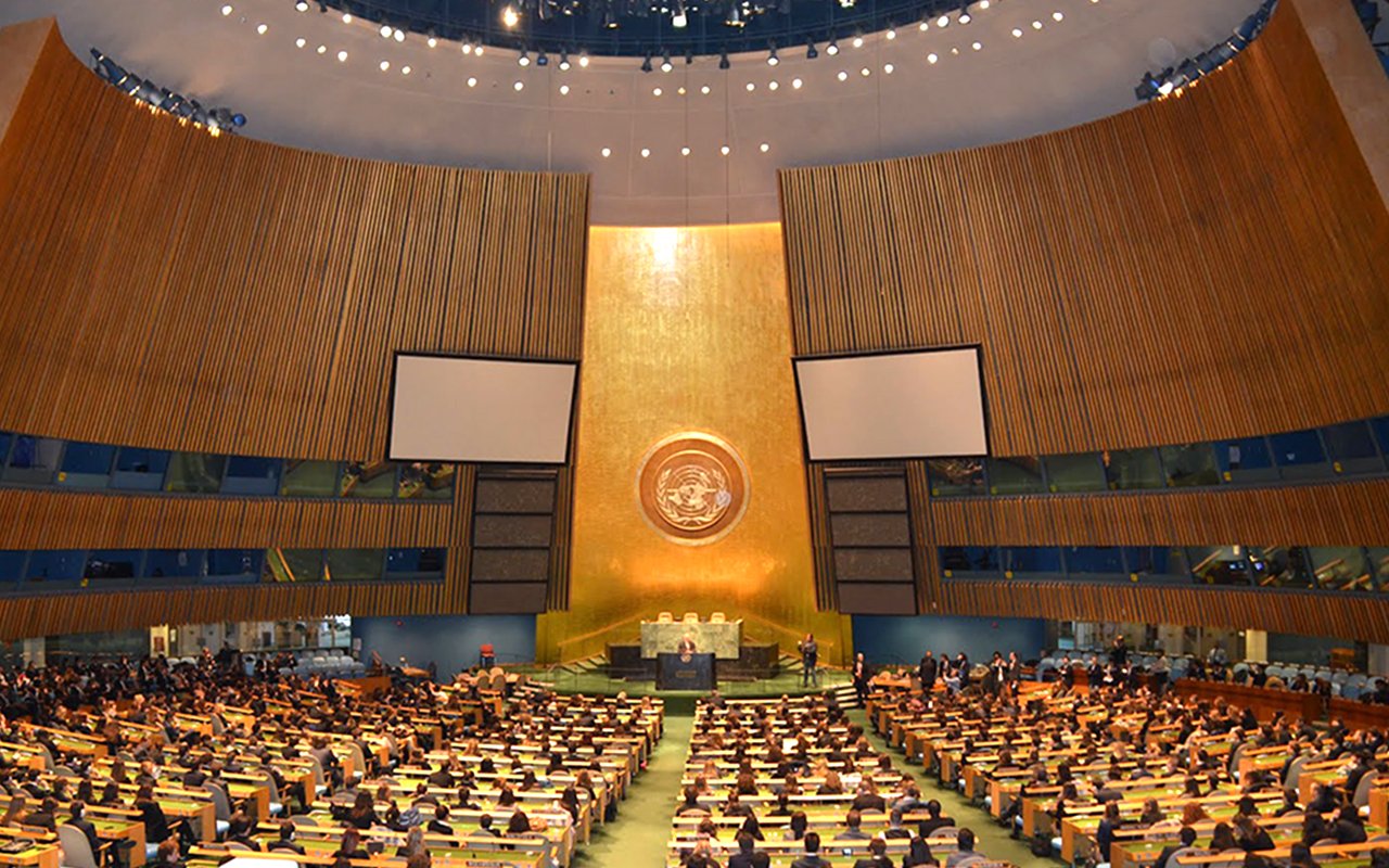 7 Onu WEB