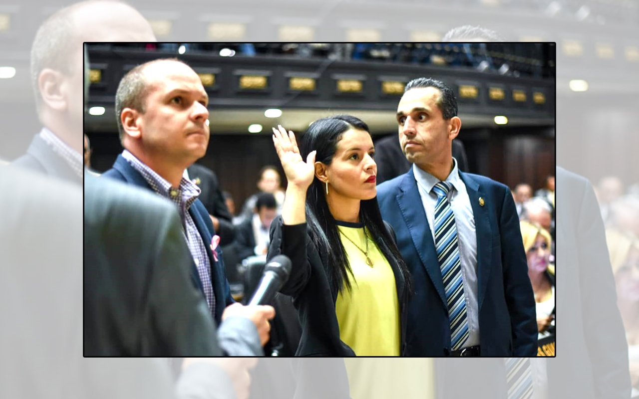 3 Diputada Zandra Castillo
