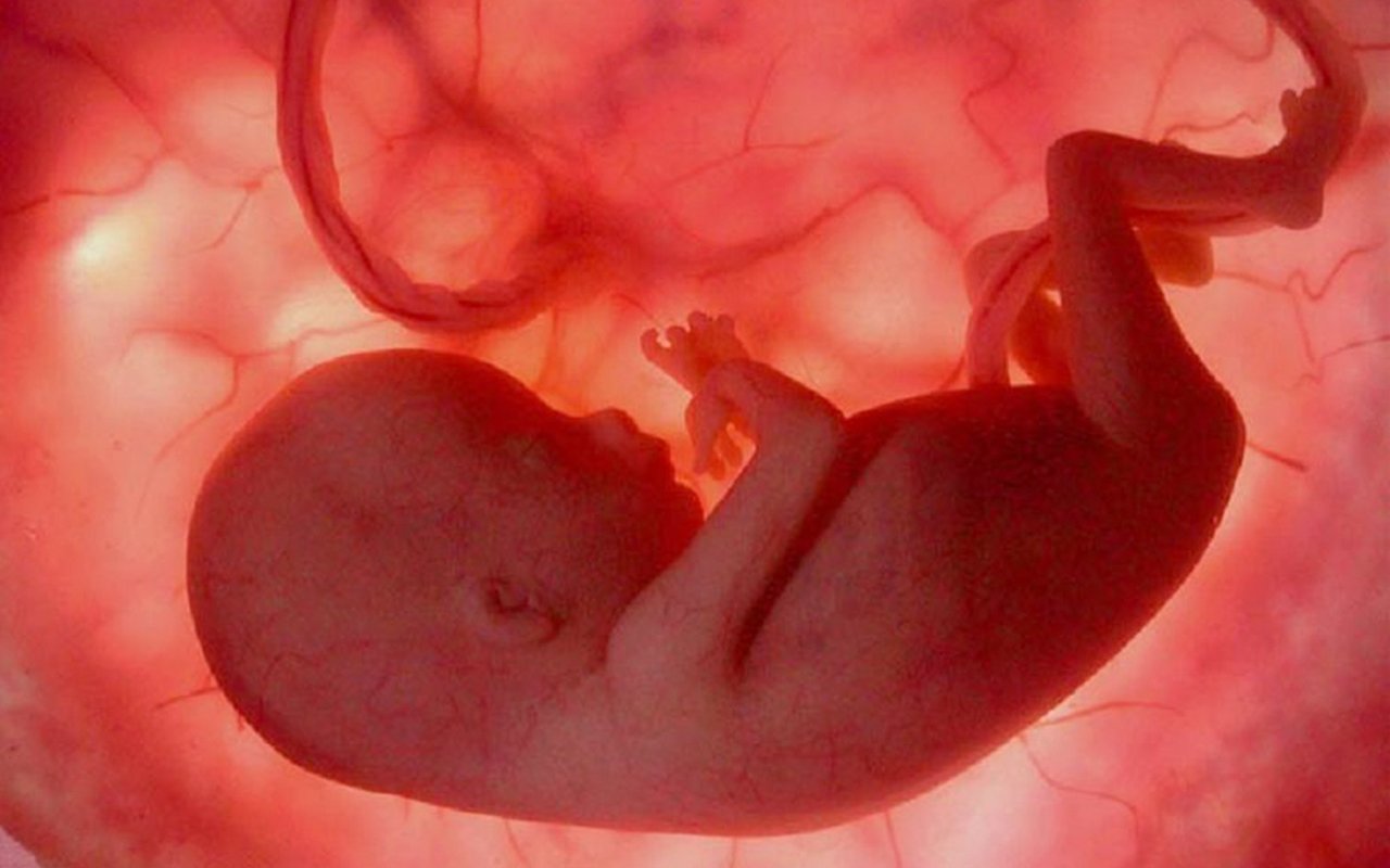 _La Biblia no dice 'no abortarás WEB
