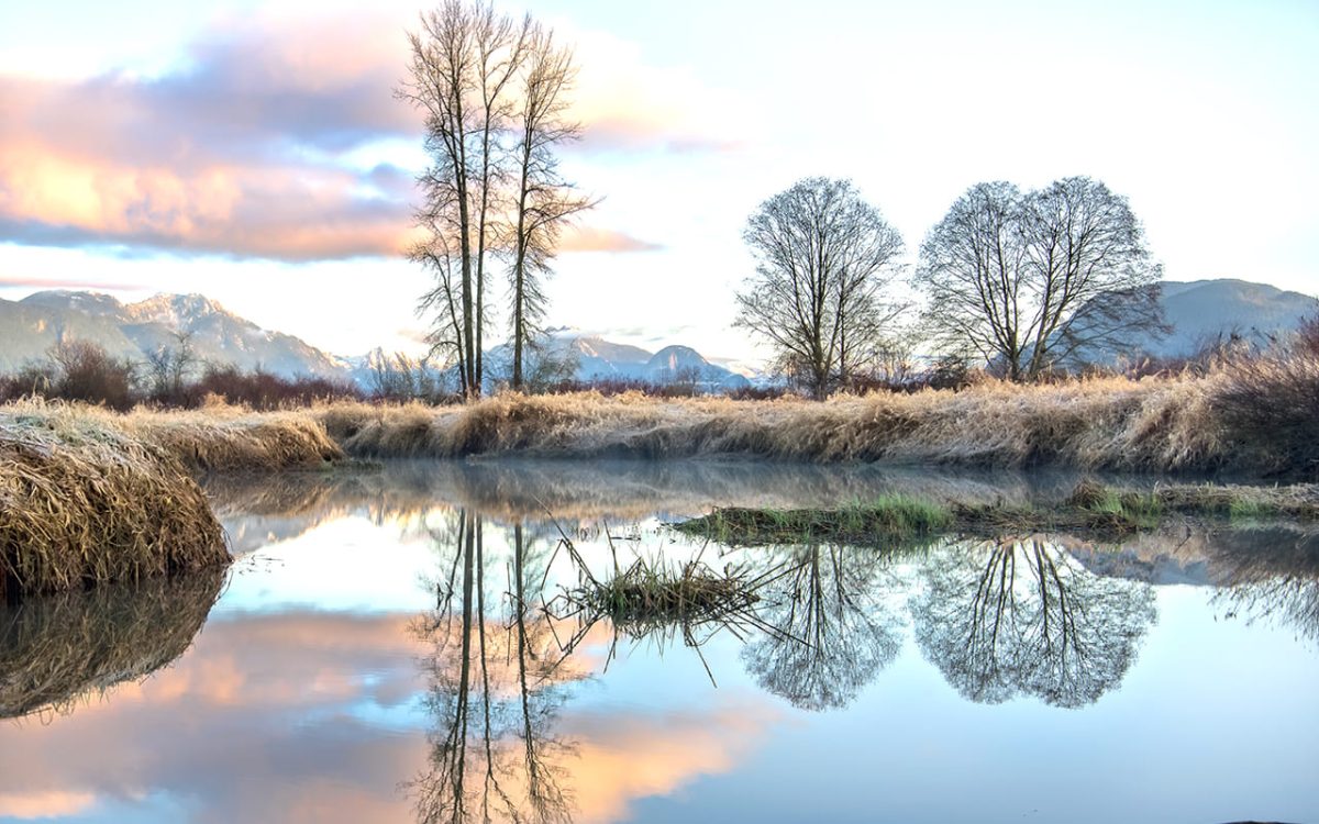 El reflejo de la creción (Freepik) EB