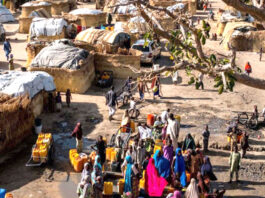 Cientos de nigerianos liberados del cautiverio de Boko Haram tras meses escondidos en la montaña